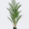 Artificial Tree The mallow tree 4 in PP pot 17 lvs GS-59526014 Artificial Tree 65*60*120cm The mallow tree *4 in PP pot/17 lvs GS-59526014 2026Aug 3,000+ sqm showroom with thousands of artificial flowers, plants & trees ready for global sourcing.