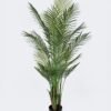 Artificial Tree The mallow tree 4 in PP pot 23 lvs GS-59526023 Artificial Tree 85*70*150cm The mallow tree *4 in PP pot/23 lvs GS-59526023 2026Aug 3,000+ sqm showroom with thousands of artificial flowers, plants & trees ready for global sourcing.