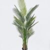 Artificial Tree The mallow tree 5 in PP pot 30 lvs GS-59526024 Artificial Tree 86*70*180cm The mallow tree *5 in PP pot/30 lvs GS-59526024 2026Aug 3,000+ sqm showroom with thousands of artificial flowers, plants & trees ready for global sourcing.