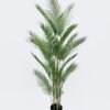 Artificial Tree The mallow tree 6 in PP pot 23 lvs GS-59526015 Artificial Tree 68*65*150cm The mallow tree *6 in PP pot/23 lvs GS-59526015 2026Aug 3,000+ sqm showroom with thousands of artificial flowers, plants & trees ready for global sourcing.