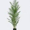 Artificial Tree The mallow tree 7 in PP pot 28 lvs GS-59526016 Artificial Tree 75*70*180cm The mallow tree *7 in PP pot/28 lvs GS-59526016 2026Aug 3,000+ sqm showroom with thousands of artificial flowers, plants & trees ready for global sourcing.