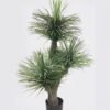 Artificial Tree 82*82*125cm Tree in PP pot GS-02226017 2026Jun 3,000+ sqm showroom with thousands of artificial flowers, plants & trees ready for global sourcing.