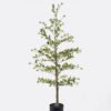 Artificial Tree 68*60*140cm Tree  in PP pot GS-76126019 2026Aug 3,000+ sqm showroom with thousands of artificial flowers, plants & trees ready for global sourcing.