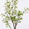 Artificial Tree Tree in PP pot GS-76126020KD_8 Artificial Tree 40*30*120cm Tree in PP pot GS-76126020KD 2026Aug 3,000+ sqm showroom with thousands of artificial flowers, plants & trees ready for global sourcing.