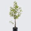 Artificial Tree 36*36*90cm Tree in PP pot GS-76126021KD 2026Aug 3,000+ sqm showroom with thousands of artificial flowers, plants & trees ready for global sourcing.
