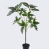 Artificial Tree Umbrella Tree in PP pot GS-03326044_6 Artificial Tree 50*35*80cm Umbrella Tree in PP pot GS-03326044 2026Jun 3,000+ sqm showroom with thousands of artificial flowers, plants & trees ready for global sourcing.