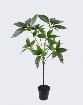 Artificial Tree 50*35*80cm Umbrella Tree in PP pot GS-03326044 2026Jun 3,000+ sqm showroom with thousands of artificial flowers, plants & trees ready for global sourcing. Artificial Tree 50*35*80cm Umbrella Tree in PP pot GS-03326044 2026Jun 3,000+ sqm showroom with thousands of artificial flowers, plants & trees ready for global sourcing.