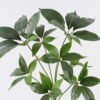 Artificial Tree Umbrella Tree in PP pot GS-03326044_8 Artificial Tree 50*35*80cm Umbrella Tree in PP pot GS-03326044 2026Jun 3,000+ sqm showroom with thousands of artificial flowers, plants & trees ready for global sourcing.