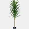 Artificial Tree Yucca in PP pot 96 lvs GS-59526021 Artificial Tree 50*50*120cm Yucca in PP pot/96 lvs GS-59526021 2026Aug 3,000+ sqm showroom with thousands of artificial flowers, plants & trees ready for global sourcing.