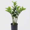 Artificial Tree Zamioculcas zamiifolia 5 in PP pot 54 lvs GS-30426030_1 Artificial Tree 33*28*55cm Zamioculcas zamiifolia *5 in PP pot/54 lvs GS-30426030 2026Jul 3,000+ sqm showroom with thousands of artificial flowers, plants & trees ready for global sourcing.