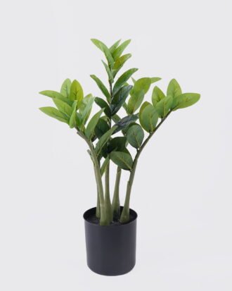 Artificial Tree 33*28*55cm Zamioculcas zamiifolia *5 in PP pot/54 lvs GS-30426030 2026Jul 3,000+ sqm showroom with thousands of artificial flowers, plants & trees ready for global sourcing.