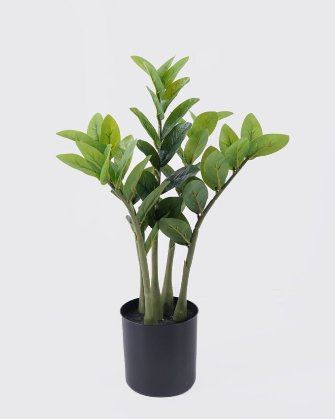 Artificial Tree 33*28*55cm Zamioculcas zamiifolia *5 in PP pot/54 lvs GS-30426030 2026Jul 3,000+ sqm showroom with thousands of artificial flowers, plants & trees ready for global sourcing.