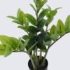 Artificial Tree Zamioculcas zamiifolia 5 in PP pot 54 lvs GS-30426030_2 Artificial Tree 33*28*55cm Zamioculcas zamiifolia *5 in PP pot/54 lvs GS-30426030 2026Jul 3,000+ sqm showroom with thousands of artificial flowers, plants & trees ready for global sourcing.
