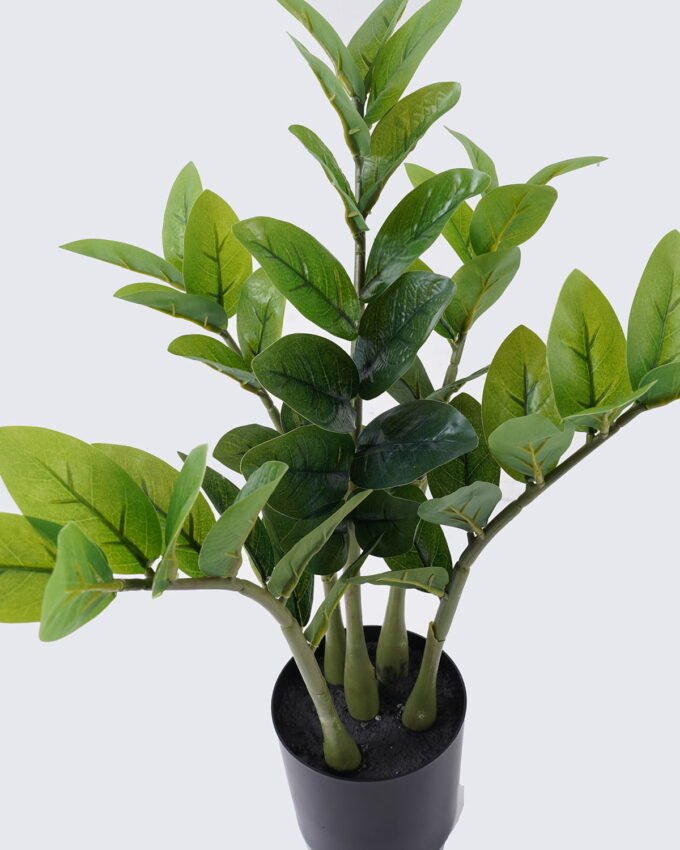 Artificial Tree 33*28*55cm Zamioculcas zamiifolia *5 in PP pot/54 lvs GS-30426030 2026Jul 3,000+ sqm showroom with thousands of artificial flowers, plants & trees ready for global sourcing.