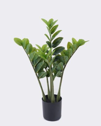 Artificial Tree 35*28*58cm Zamioculcas zamiifolia *6 in PP pot/62 lvs GS-30426031 2026Jul 3,000+ sqm showroom with thousands of artificial flowers, plants & trees ready for global sourcing.