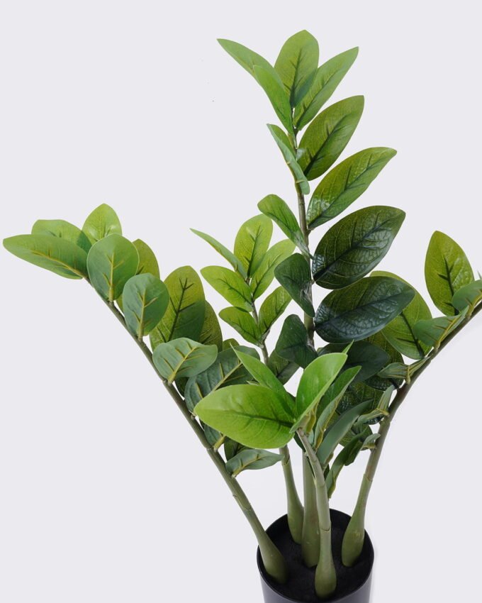 Artificial Tree 35*28*58cm Zamioculcas zamiifolia *6 in PP pot/62 lvs GS-30426031 2026Jul 3,000+ sqm showroom with thousands of artificial flowers, plants & trees ready for global sourcing.