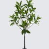 Artificial Tree 110*110*190cm loquat leaf in PP pot GS-46726009KD 2026Aug 3,000+ sqm showroom with thousands of artificial flowers, plants & trees ready for global sourcing.
