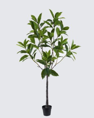Artificial Tree 110*110*190cm loquat leaf in PP pot GS-46726009KD 2026Aug 3,000+ sqm showroom with thousands of artificial flowers, plants & trees ready for global sourcing. Artificial Tree 110*110*190cm loquat leaf in PP pot GS-46726009KD 2026Aug 3,000+ sqm showroom with thousands of artificial flowers, plants & trees ready for global sourcing.