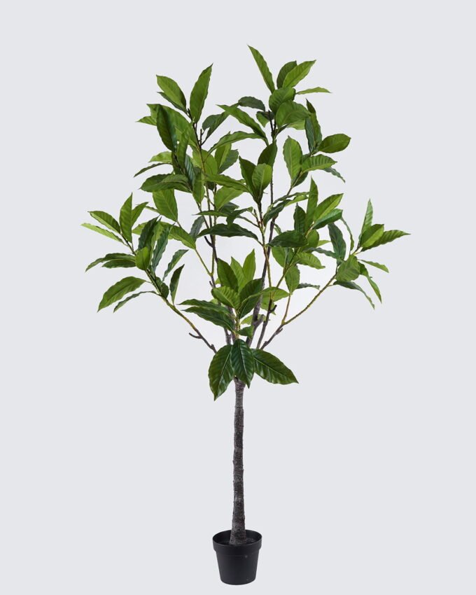 Artificial Tree 110*110*190cm loquat leaf in PP pot GS-46726009KD 2026Aug 3,000+ sqm showroom with thousands of artificial flowers, plants & trees ready for global sourcing.