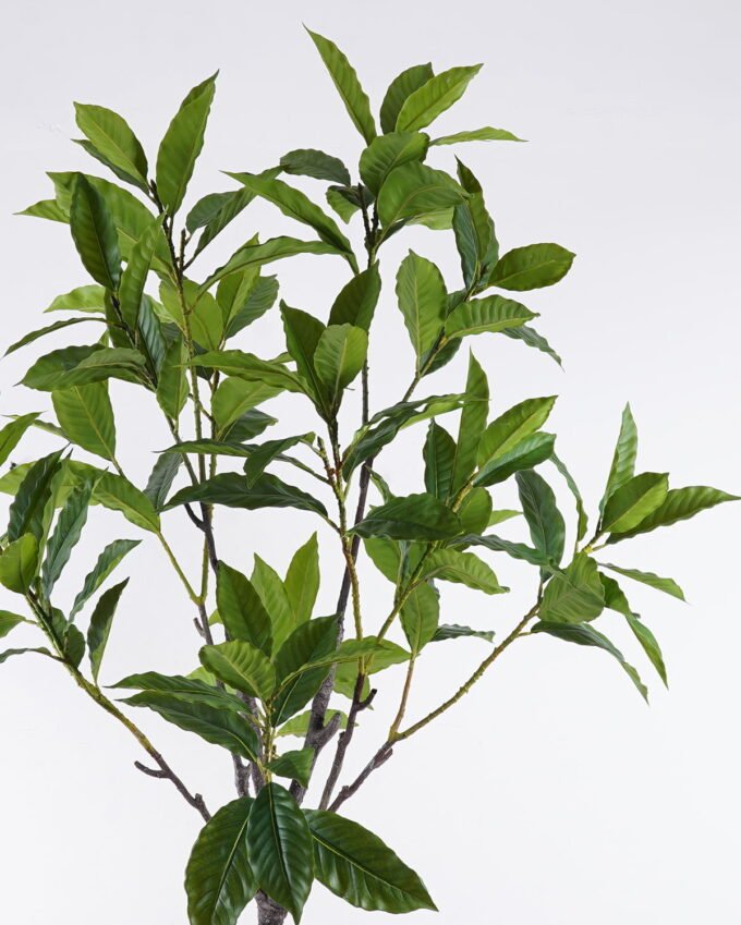 Artificial Tree 110*110*190cm loquat leaf in PP pot GS-46726009KD 2026Aug 3,000+ sqm showroom with thousands of artificial flowers, plants & trees ready for global sourcing.