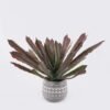 Artificial succulent 51*51*38cm  Agave in Cement pot GS-03326122 2026Jun 3,000+ sqm showroom with thousands of artificial flowers, plants & trees ready for global sourcing.