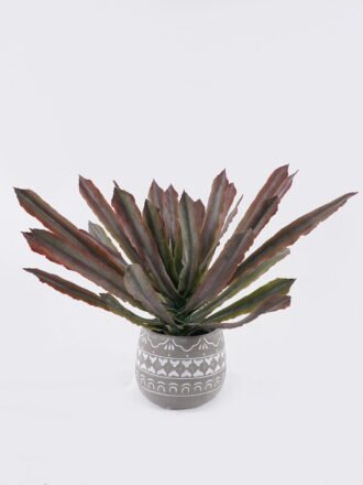 Artificial succulent 50*50*50cm Aloe in Cement pot GS-03326123 2026Jun 3,000+ sqm showroom with thousands of artificial flowers, plants & trees ready for global sourcing.