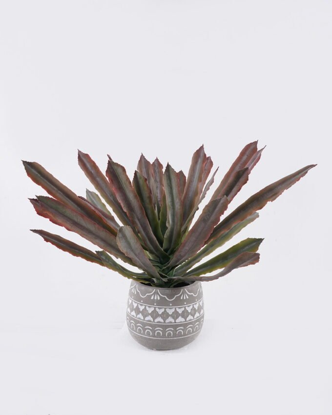 Artificial succulent 51*51*38cm  Agave in Cement pot GS-03326122 2026Jun 3,000+ sqm showroom with thousands of artificial flowers, plants & trees ready for global sourcing.