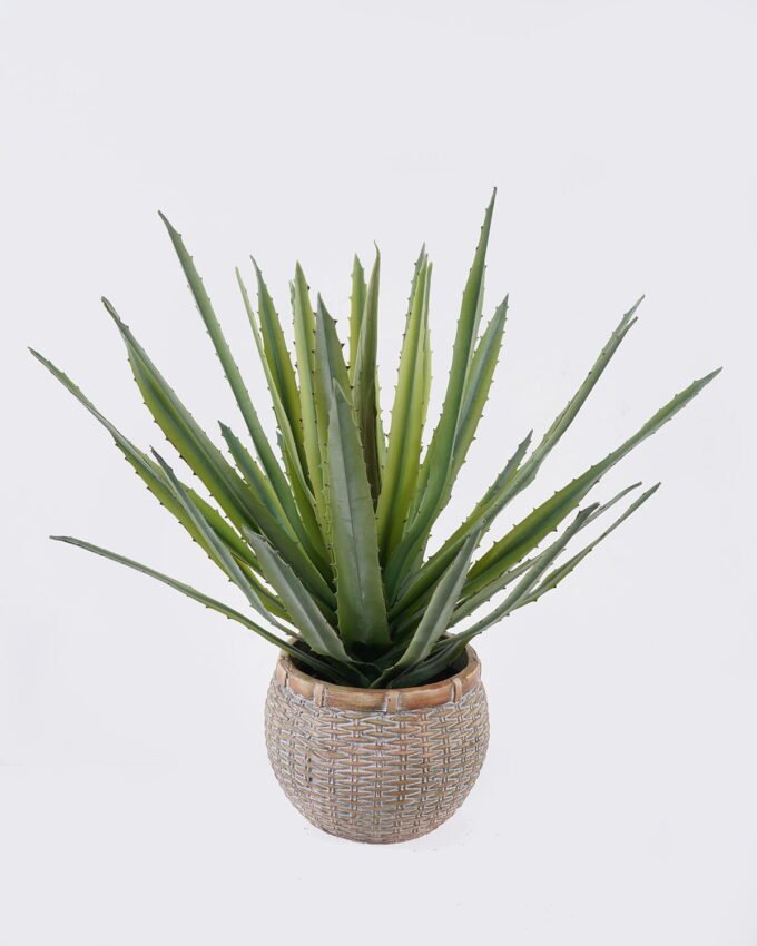 Artificial succulent 45*45*43cm Aloe in Cement GS-03326121 2026Jun 3,000+ sqm showroom with thousands of artificial flowers, plants & trees ready for global sourcing.