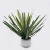 Artificial succulent Aloe in Cement pot GS-03326123_3 Artificial succulent 50*50*50cm Aloe in Cement pot GS-03326123 2026Jun 3,000+ sqm showroom with thousands of artificial flowers, plants & trees ready for global sourcing.
