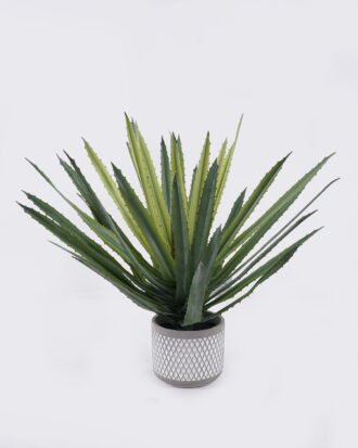 Artificial succulent 50*50*50cm Aloe in Cement pot GS-03326123 2026Jun 3,000+ sqm showroom with thousands of artificial flowers, plants & trees ready for global sourcing. Artificial succulent 50*50*50cm Aloe in Cement pot GS-03326123 2026Jun 3,000+ sqm showroom with thousands of artificial flowers, plants & trees ready for global sourcing.