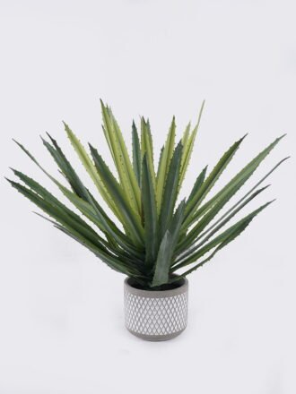 Artificial Flower 38*38*35cm Daisy grass in Cement pot GS-03326124 2026Jun 3,000+ sqm showroom with thousands of artificial flowers, plants & trees ready for global sourcing.