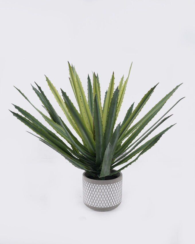 Artificial succulent 50*50*50cm Aloe in Cement pot GS-03326123 2026Jun 3,000+ sqm showroom with thousands of artificial flowers, plants & trees ready for global sourcing.