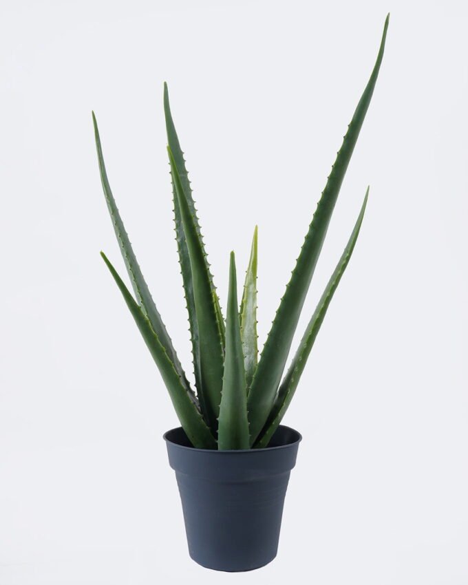 Artificial succulent 36*27*55cm Aloe in PP pot/10 lvs GS-59526043 2026Aug 3,000+ sqm showroom with thousands of artificial flowers, plants & trees ready for global sourcing.