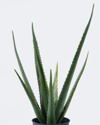 Artificial succulent 36*27*55cm Aloe in PP pot/10 lvs GS-59526043 2026Aug 3,000+ sqm showroom with thousands of artificial flowers, plants & trees ready for global sourcing.