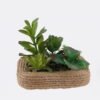 Artificial succulent 14*10*11cm Succulent in Hemp rope pot GS-38926052 2026Jul 3,000+ sqm showroom with thousands of artificial flowers, plants & trees ready for global sourcing.