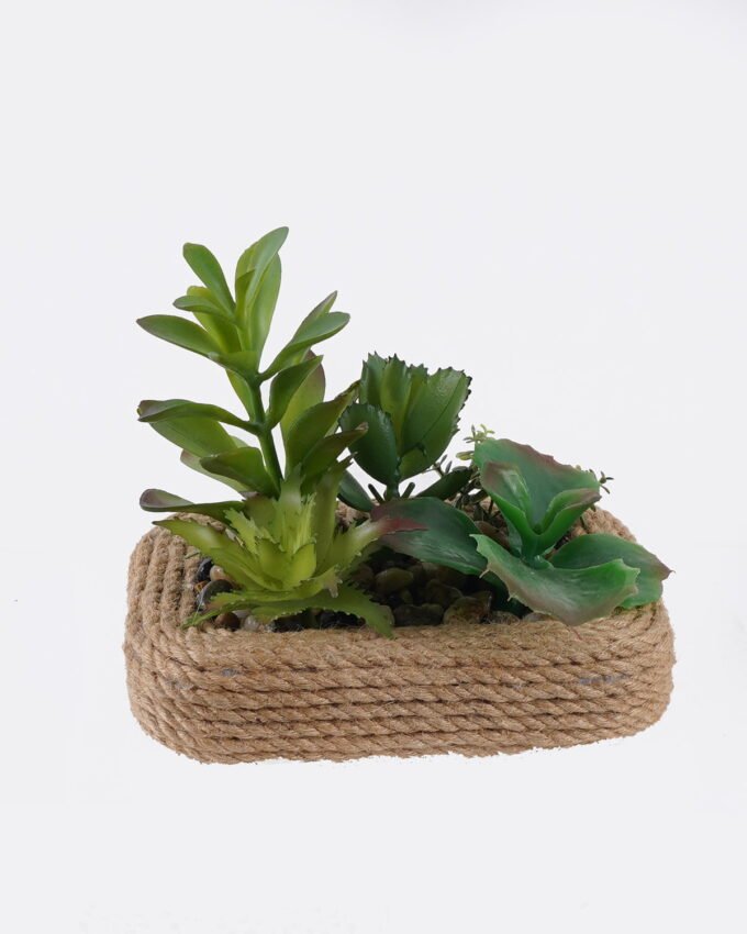 Artificial succulent 14*10*11cm Succulent in Hemp rope pot GS-38926052 2026Jul 3,000+ sqm showroom with thousands of artificial flowers, plants & trees ready for global sourcing.