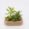 Artificial succulent 15*10*11cm Succulent in Hemp rope pot GS-38926053 2026Jul 3,000+ sqm showroom with thousands of artificial flowers, plants & trees ready for global sourcing.