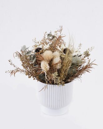 Dried Flowers 18*18*20cm Dried natural in PP pot GS-56626011 2026Aug 3,000+ sqm showroom with thousands of artificial flowers, plants & trees ready for global sourcing. Dried Flowers 18*18*20cm Dried natural in PP pot GS-56626011 2026Aug 3,000+ sqm showroom with thousands of artificial flowers, plants & trees ready for global sourcing.