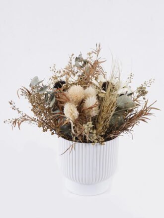 Dried Flowers 18*18*20cm  Dried natural in PP pot GS-56626012 2026Aug 3,000+ sqm showroom with thousands of artificial flowers, plants & trees ready for global sourcing.