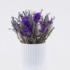 Dried Flowers Dried natural in PP pot GS-56626014 Dried Flowers 17*17*22cm Dried natural in PP pot GS-56626014 2026Aug 3,000+ sqm showroom with thousands of artificial flowers, plants & trees ready for global sourcing.