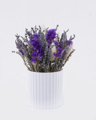 Dried Flowers 17*17*22cm Dried natural in PP pot GS-56626014 2026Aug 3,000+ sqm showroom with thousands of artificial flowers, plants & trees ready for global sourcing. Dried Flowers 17*17*22cm Dried natural in PP pot GS-56626014 2026Aug 3,000+ sqm showroom with thousands of artificial flowers, plants & trees ready for global sourcing.