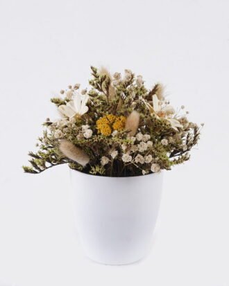 Dried Flowers 17*17*19cm Dried natural in PP pot GS-56626015 2026Aug 3,000+ sqm showroom with thousands of artificial flowers, plants & trees ready for global sourcing. Dried Flowers 17*17*19cm Dried natural in PP pot GS-56626015 2026Aug 3,000+ sqm showroom with thousands of artificial flowers, plants & trees ready for global sourcing.