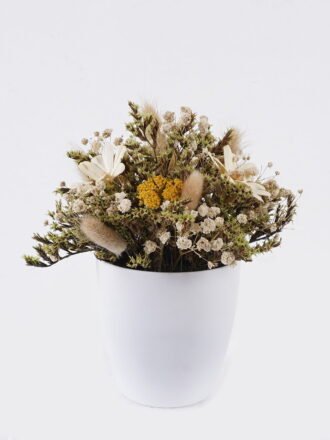 Dried Flowers 16*16*20cm  Dried natural in PP pot GS-56626016 2026Aug 3,000+ sqm showroom with thousands of artificial flowers, plants & trees ready for global sourcing.