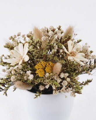 Dried Flowers 17*17*19cm Dried natural in PP pot GS-56626015 2026Aug 3,000+ sqm showroom with thousands of artificial flowers, plants & trees ready for global sourcing. Dried Flowers 17*17*19cm Dried natural in PP pot GS-56626015 2026Aug 3,000+ sqm showroom with thousands of artificial flowers, plants & trees ready for global sourcing.