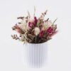 Dried Flowers Dried natural in PP pot GS-56626016 Dried Flowers 16*16*20cm Dried natural in PP pot GS-56626016 2026Aug 3,000+ sqm showroom with thousands of artificial flowers, plants & trees ready for global sourcing.