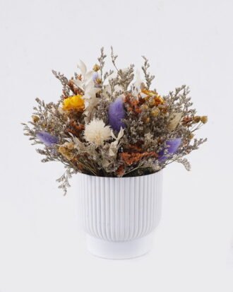 Dried Flowers 18*18*22cm Dried natural in PP pot GS-56626017 2026Aug 3,000+ sqm showroom with thousands of artificial flowers, plants & trees ready for global sourcing. Dried Flowers 18*18*22cm Dried natural in PP pot GS-56626017 2026Aug 3,000+ sqm showroom with thousands of artificial flowers, plants & trees ready for global sourcing.