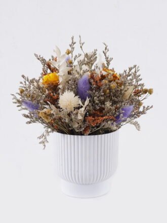 Dried Flowers 16*16*20cm  Dried natural in PP pot GS-56626016 2026Aug 3,000+ sqm showroom with thousands of artificial flowers, plants & trees ready for global sourcing.