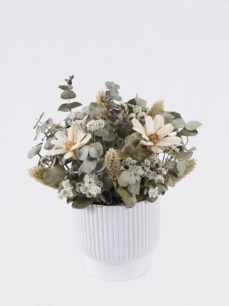 Dried Flowers 16*16*22cm  Dried natural in PP pot GS-56626019 2026Aug 3,000+ sqm showroom with thousands of artificial flowers, plants & trees ready for global sourcing.