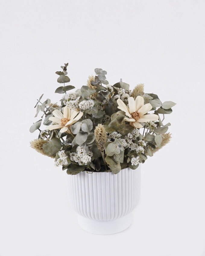 Dried Flowers 17*17*20cm  Dried natural in PP pot GS-56626018 2026Aug 3,000+ sqm showroom with thousands of artificial flowers, plants & trees ready for global sourcing.