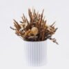 Dried Flowers 16*16*22cm  Dried natural in PP pot GS-56626019 2026Aug 3,000+ sqm showroom with thousands of artificial flowers, plants & trees ready for global sourcing.
